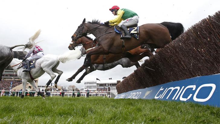 Sizing John aims to win back-to-back Cheltenham Gold Cups